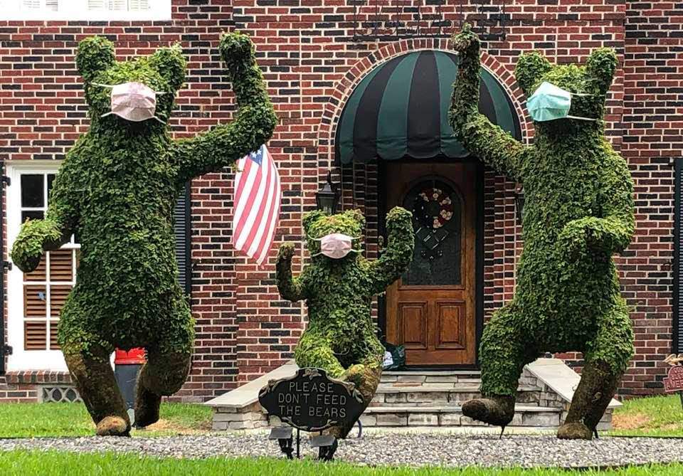 These mask-wearing, bear-shaped topiaries are making people smile near the Texas Medical Center