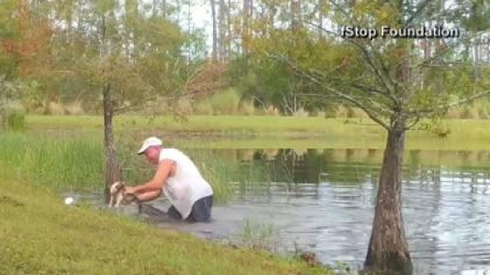 CRAZY VIDEO: Florida man rescues puppy from alligator’s jaws