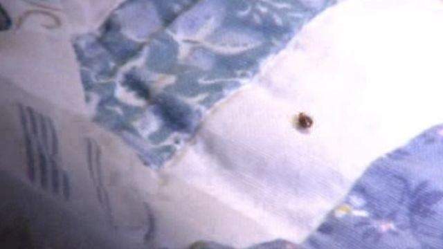 No description available