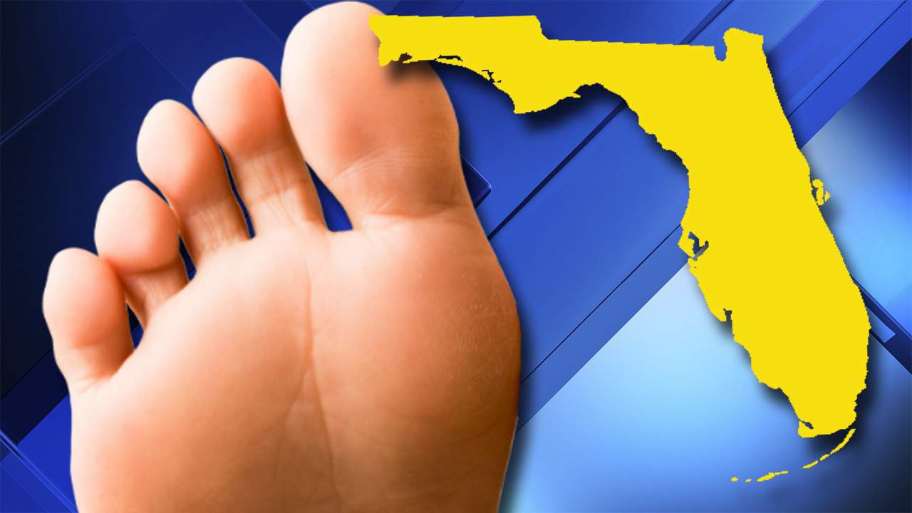 Florida police searching for criminal toe sucker