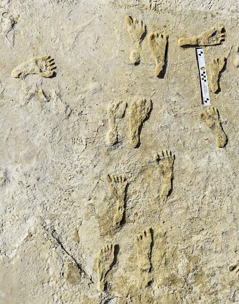 This undated photo made available by the National Park Service in September 2021 shows fossilized human fossilized footprints at the White Sands National Park in New Mexico. According to a report published in the journal Science on Thursday, Sept. 23, 2021, the impressions indicate that early humans were walking across North America around 23,000 years ago, much earlier than scientists previously thought. (NPS via AP)