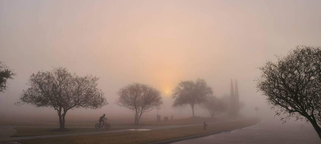 What to know about the fog
