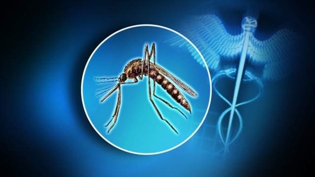 Mosquitoes in Montgomery County test positive for West Nile virus