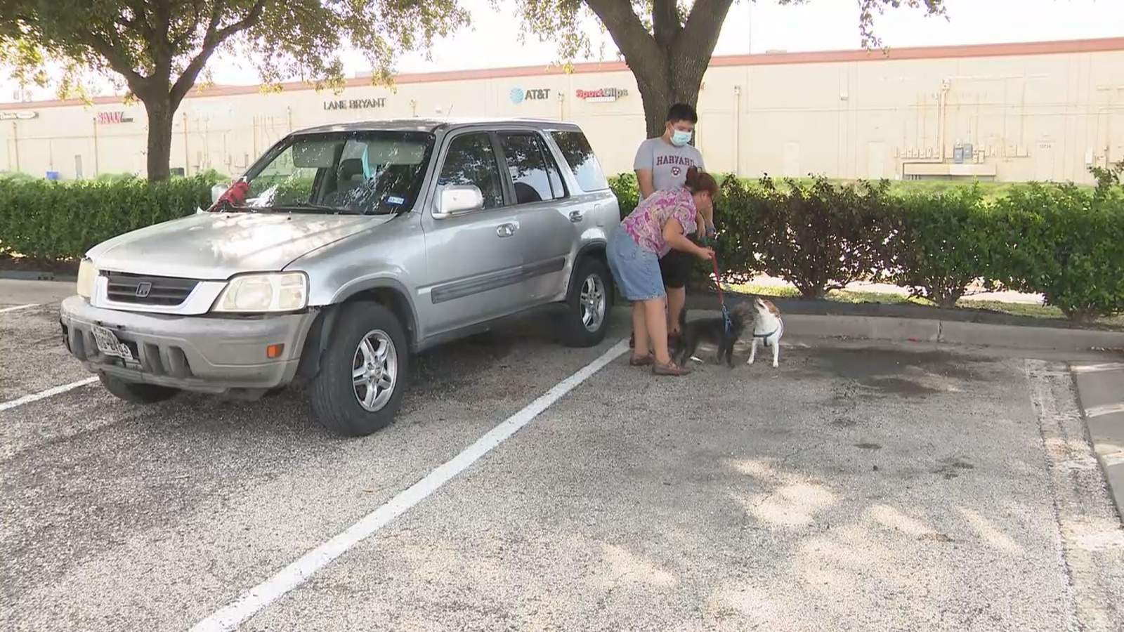 Mother, son, their dogs forced to live in SUV after losing job during pandemic