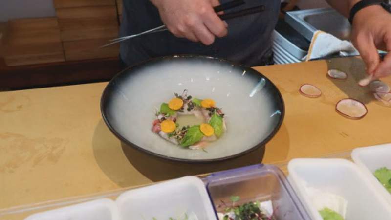 A taste of authentic Japanese cuisine, flavors in Houston