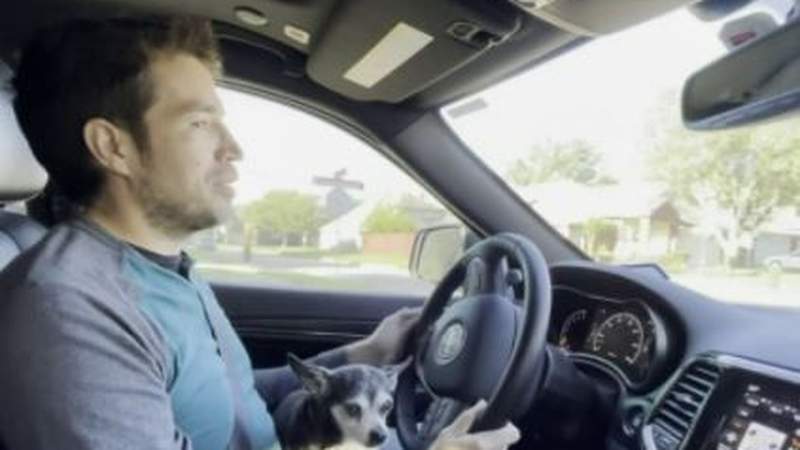 Ask 2: Can you drive with your pet on your lap?