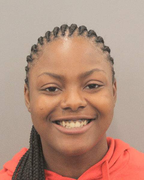 Houston woman seen kicking, beating dog in viral video arrested, police say