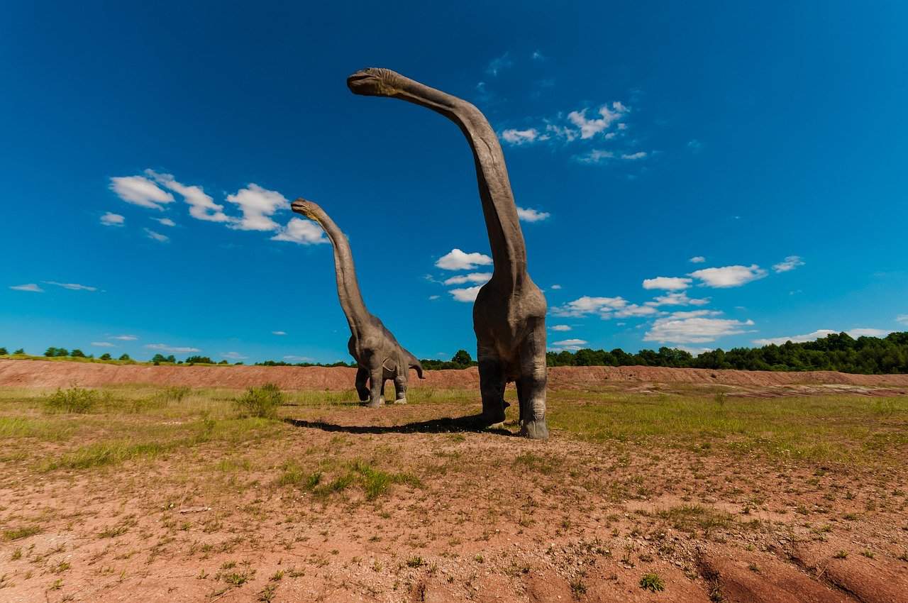 Travel back to the time of dinosaurs at these 5 spots in Glen Rose