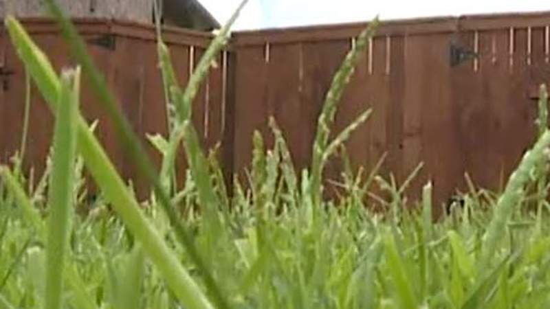 Homeowner asks KPRC 2 Investigates for help in HOA fence stain debate