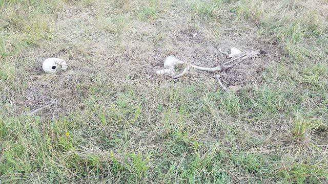 No description available