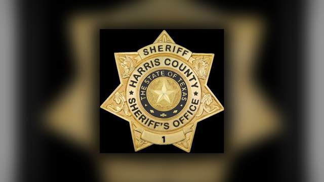 Harris County Sheriffs deputy charged with felony sexual assault in alleged March incident, officials say