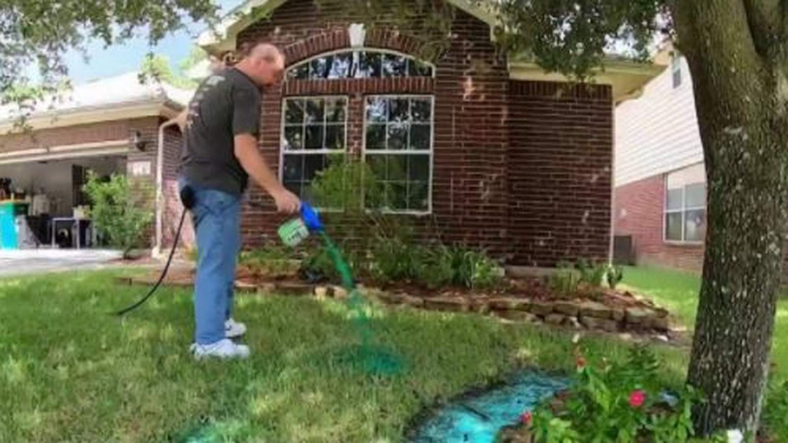 Test it Tuesday: Can Hydro Mousse give you a lush, green lawn?