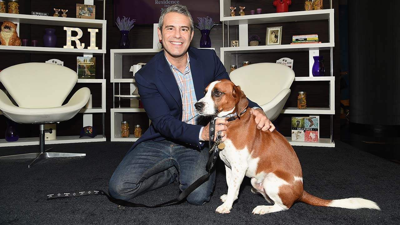 Andy Cohen Rehomes His Dog Wacha Due to Aggression