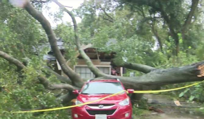 Firefighters rescue woman, her pets after tree falls on home in north Houston