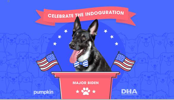 Joe Biden’s dog, Major, gets own ‘Indoguration’