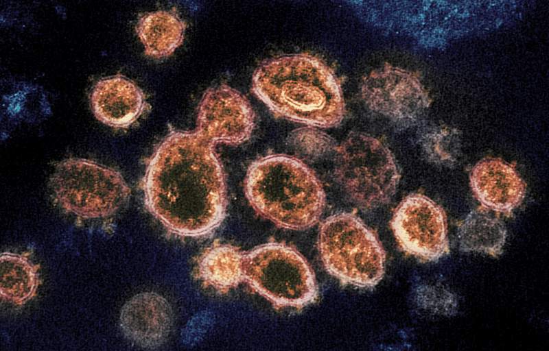 Cholesterol drug reduces coronavirus infection by 70%, new study finds