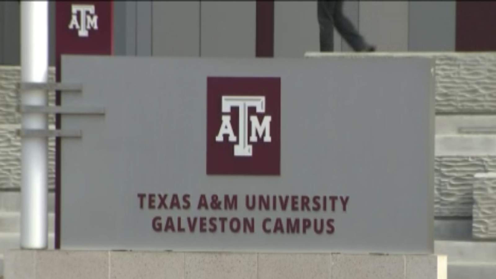 Body found in search for missing Texas A&M Galveston student, officials say