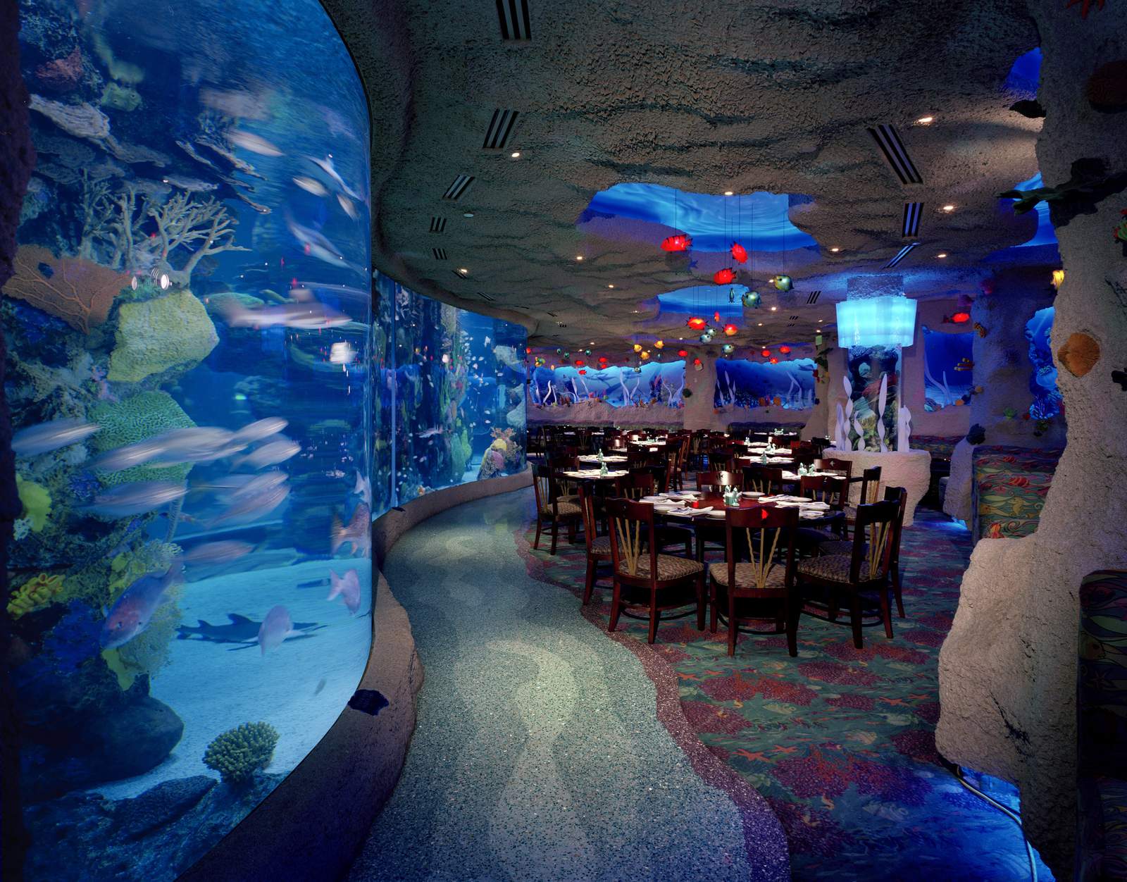 At this Houston restaurant, you can dine and drink underwater -- no scuba gear required