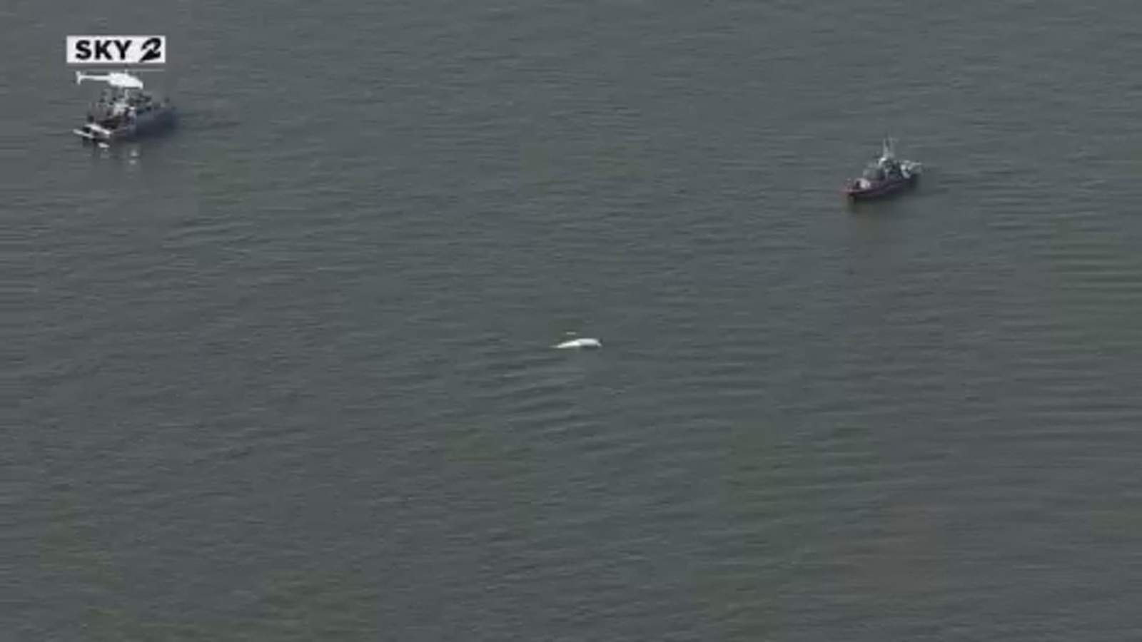 Pilot uninjured after seaplane crashes into Clear Lake, officials say