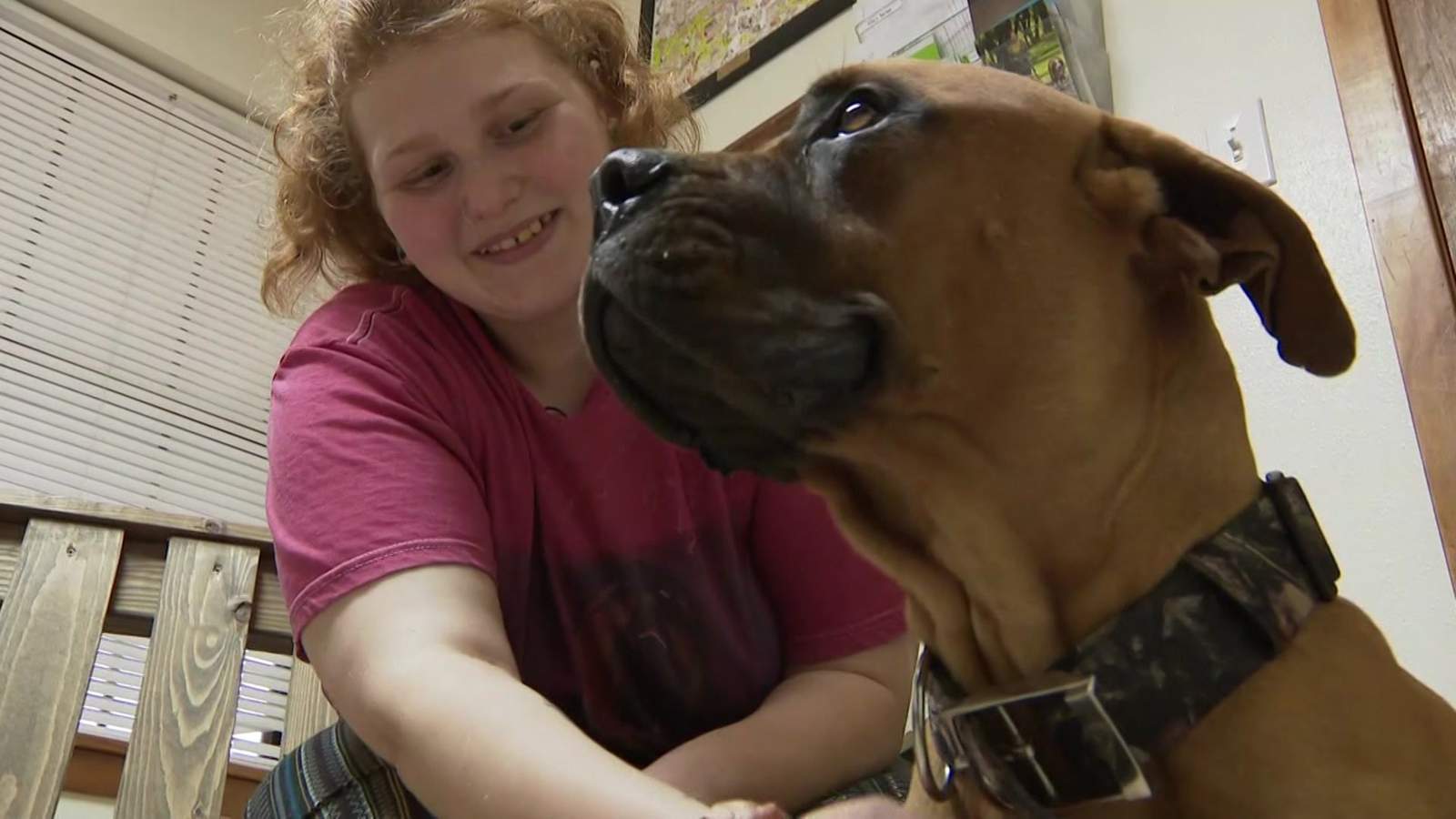 Emergency surgery saves dog’s life after it eats fork, Cleveland family says