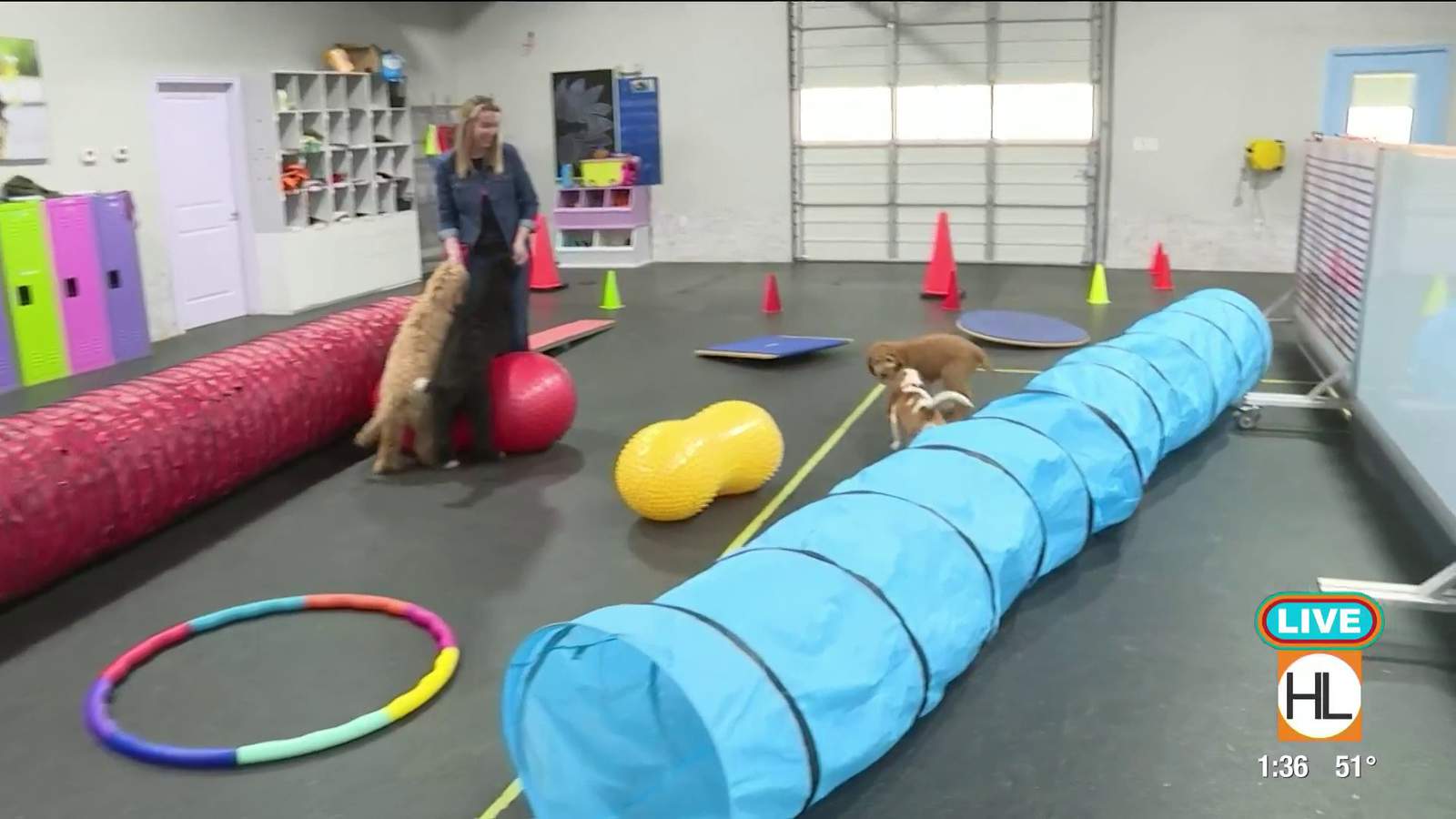 Believe In DOG Training’s Puppy Day School is a class your pup will love