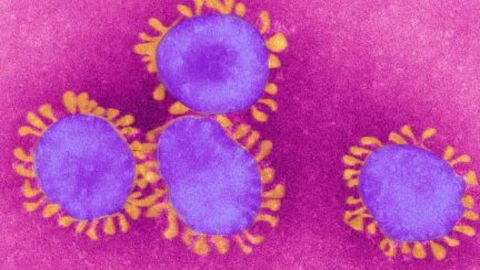 Coronavirus may not be mutating, but experts say there is still potential for danger