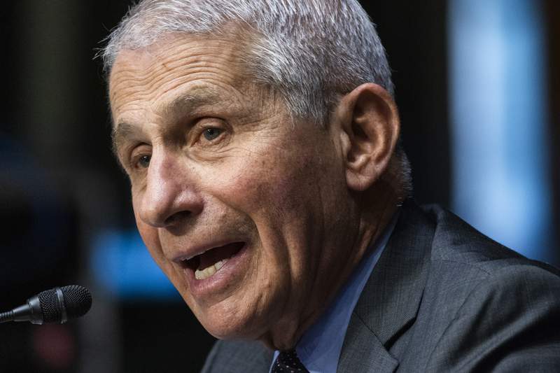 Fauci says pandemic exposed ‘undeniable effects of racism’