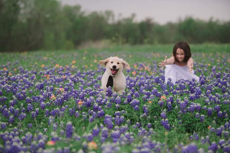 Bluebonnets forever: These are the stunning shots Houston-area folks snapped in 2021