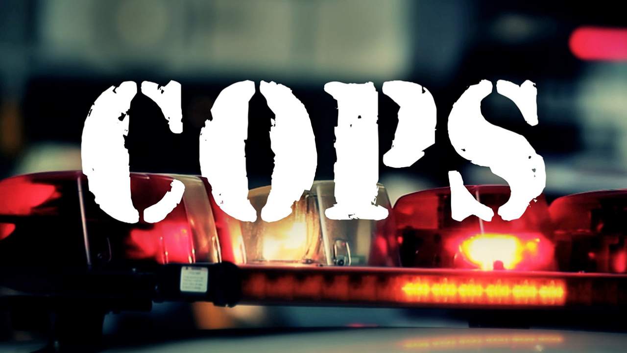'Cops' Canceled in the Wake of Protests