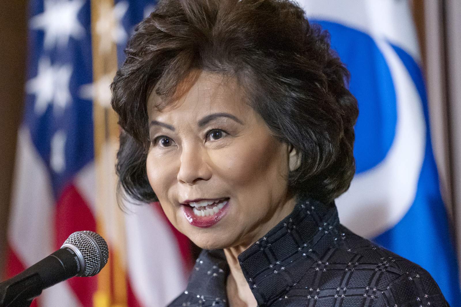 Transportation Secretary Elaine Chao resigns after riot