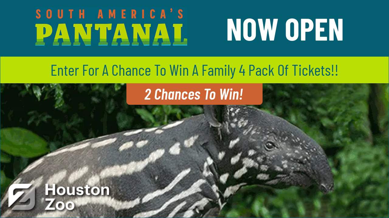 Click2Win: Houston Zoo Family 4-Pack