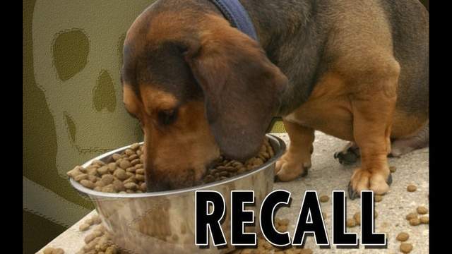 Midwestern Pet Foods voluntarily recalls pet food due to possible salmonella contamination