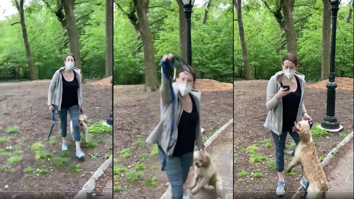Dog returned to white woman who called police on black man bird-watching in Central Park