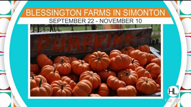 No description available