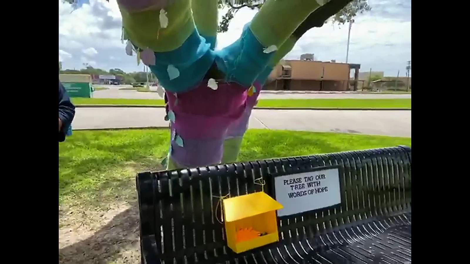 Sterling Municipal Library’s Hope Tree - Spreading encouragement during social distancing - VOD
