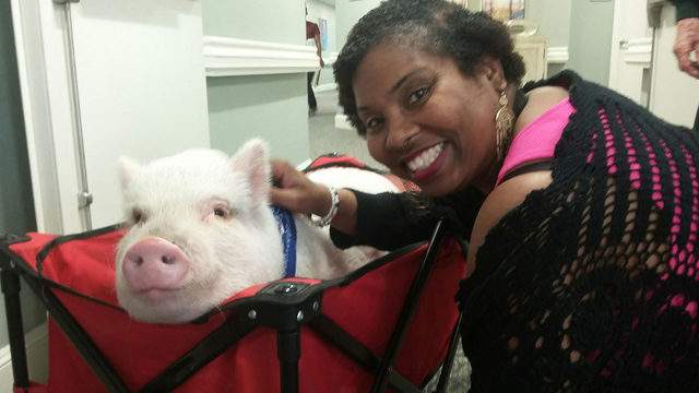 No description available