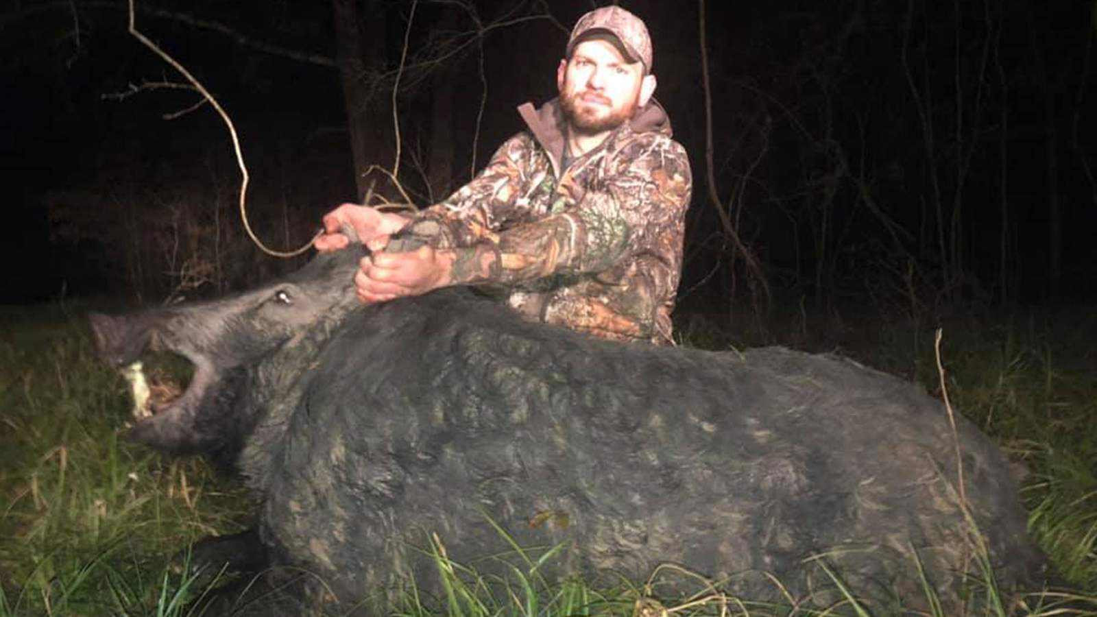 488-pound feral hog killed in Texas by wildlife remover experts