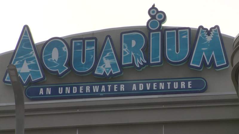 Visitors express concern after Downtown Aquarium opens one day after deadly shooting